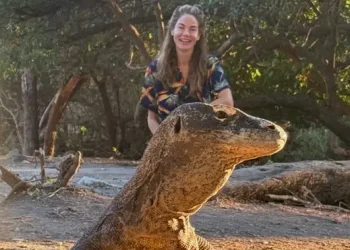 Michelle Monaghan Kembali Liburan ke Indonesia Penasaran dengan Komodo