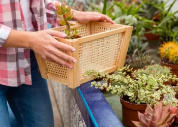 3 Cara Berkebun dengan Kontainer Agar Patio Kecil Terlihat Mewah