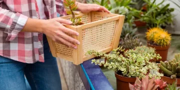 3 Cara Berkebun dengan Kontainer Agar Patio Kecil Terlihat Mewah