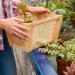 3 Cara Berkebun dengan Kontainer Agar Patio Kecil Terlihat Mewah