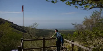 Kondisi Wisata Pulau Jeju Setelah Kasus 4 Orang Hilang Ditemukan Meninggal
