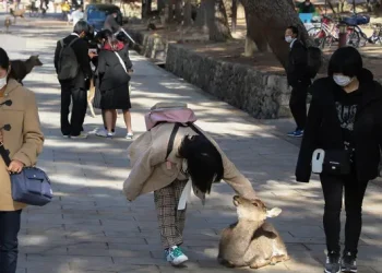 Jepang Terkenal Sopan dan Amerika Serikat Terkenal Royal dalam Daftar Wisatawan Terbaik Dunia