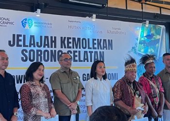 Jelajahi Sorong Selatan, Menyusuri Keindahan Alam dan Kuliner dari Hutan