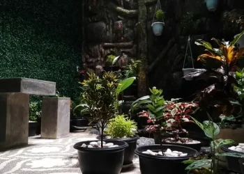 5 Teknik Mudah Menanam Sayur di Kebun Mini untuk Panen Optimal di Lahan Sempit