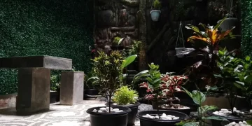 5 Teknik Mudah Menanam Sayur di Kebun Mini untuk Panen Optimal di Lahan Sempit